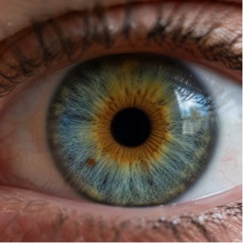 iris